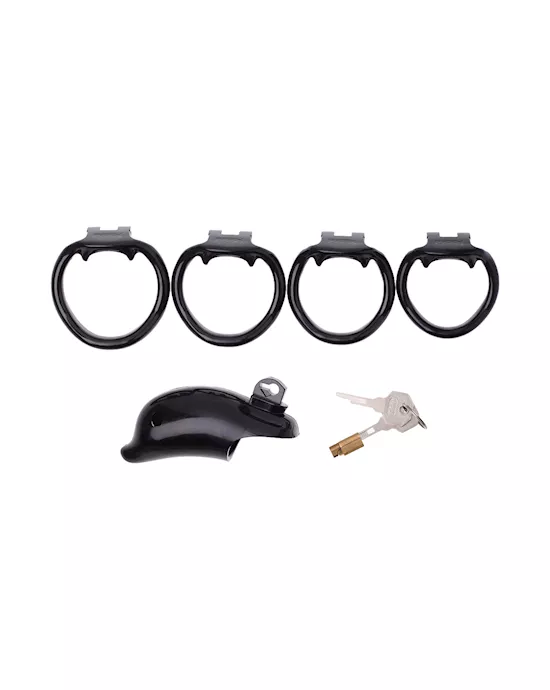KinKi Dolphin Chastity Cage