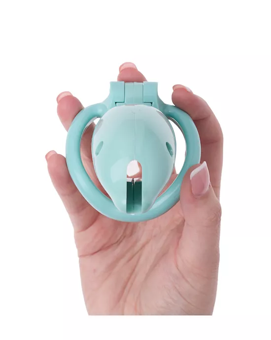 KinKi Dolphin Chastity Cage