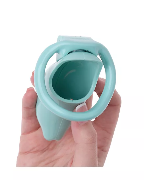 KinKi Dolphin Chastity Cage