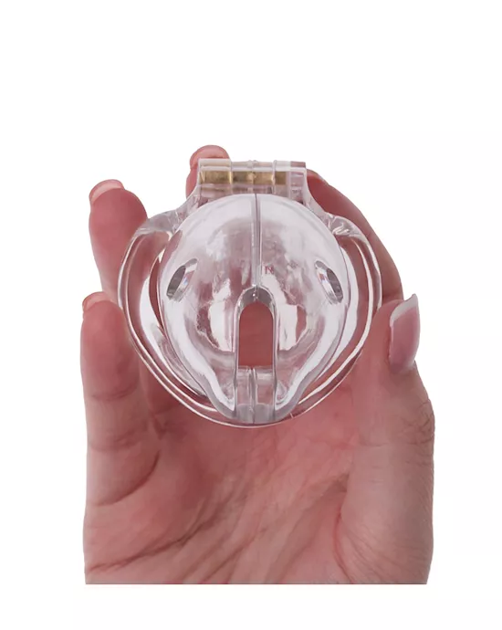 KinKi Dolphin Chastity Cage