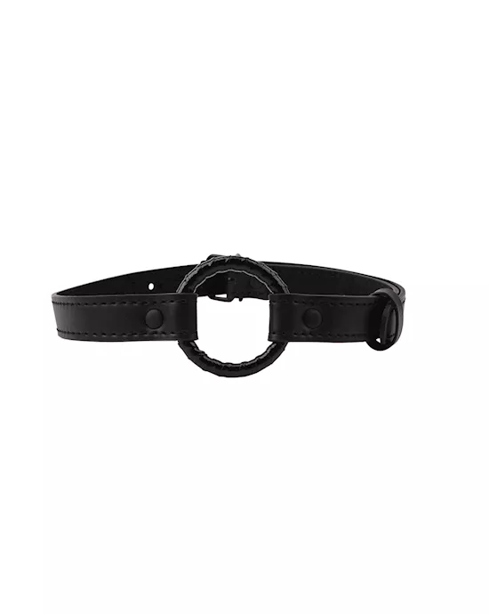 Metal O-ring Gag