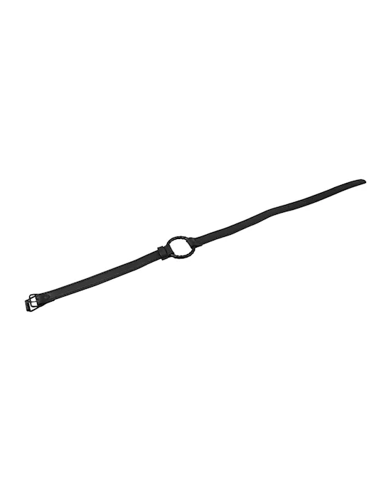 Metal O-ring Gag