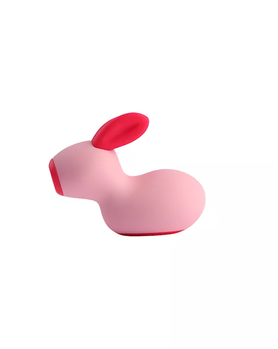 Joy Jumper Rabbit