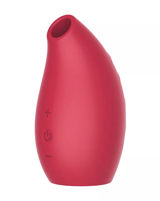Share Satisfaction Suction Vibrator