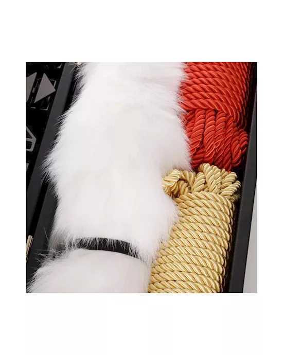 Lockink All-in-1 Bdsm Play Kit - Bullhide