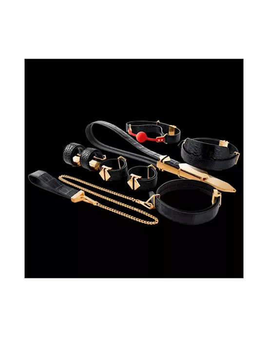 Lockink All-in-1 Bdsm Play Kit - Bullhide