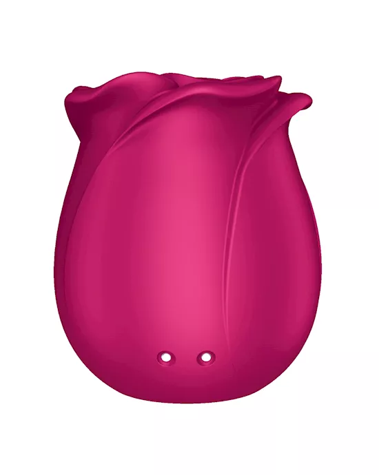 Satisfyer Pro 2 Classic Blossom