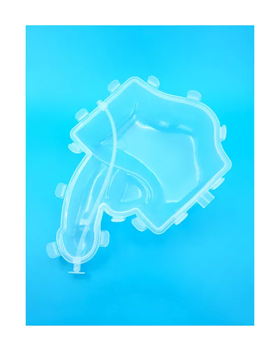Huge Penis Ice Luge