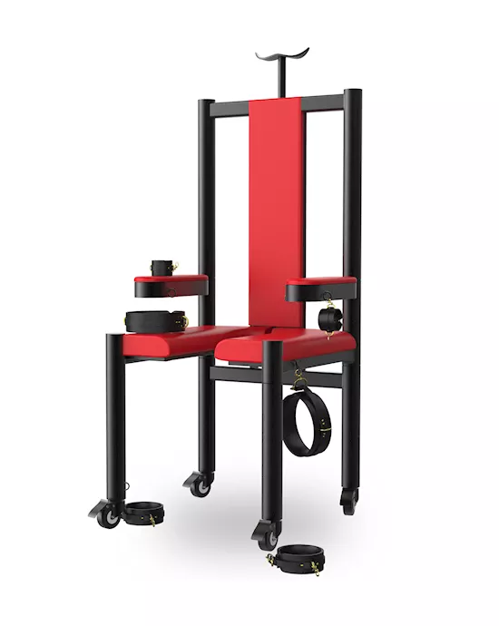 Double Power Torture Chair