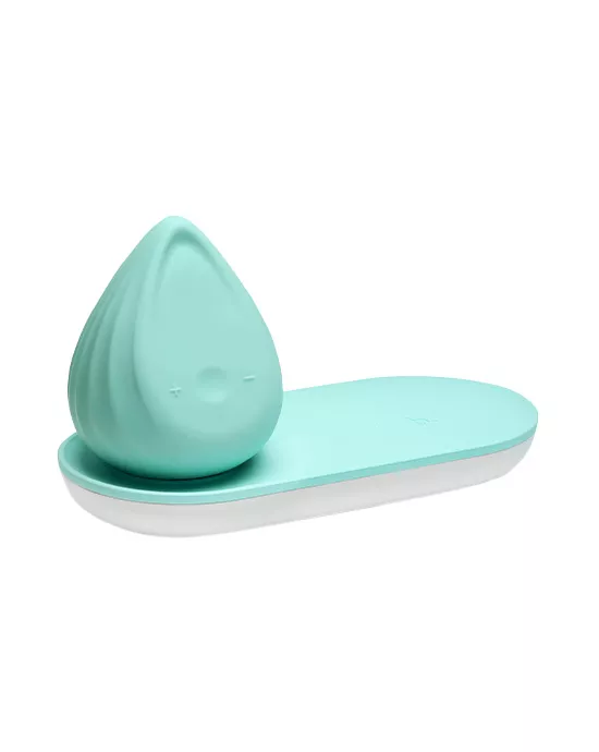 Evii Vibrator
