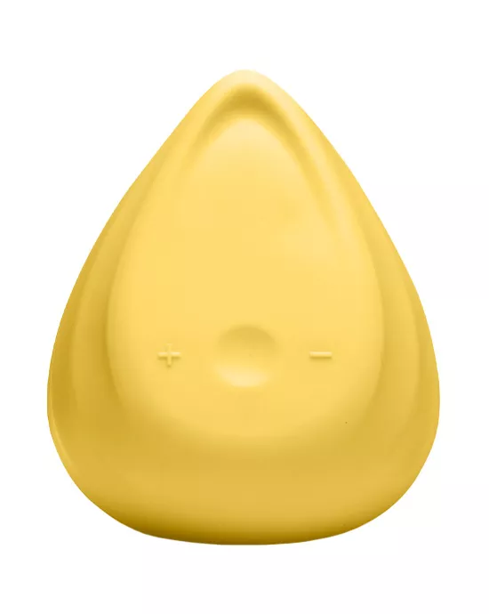 Evii Vibrator