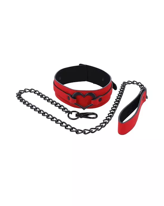 Amor Collar And Leash